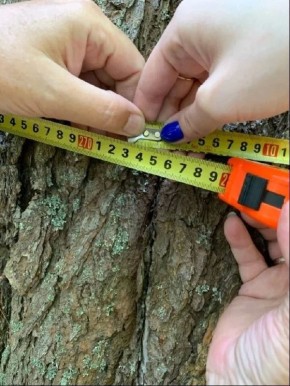 ���� �� ����� ������������ ����� ������� ��������������� �������