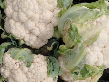 ������ �� ����������������� ������: ���-10 ����� �������� ��������� �� ����