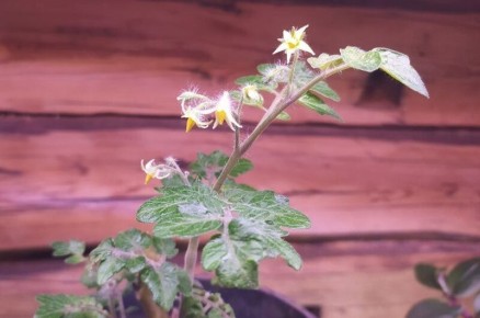 ������ �������: ����� ����� ����� ��������� ���� � �������