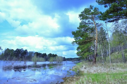 �657 ��������� � ����.. ��� ����� 200 ������� ����������� �� ������