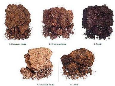 ��� ����������� � ��������� ������ � ��������� ��������� ������