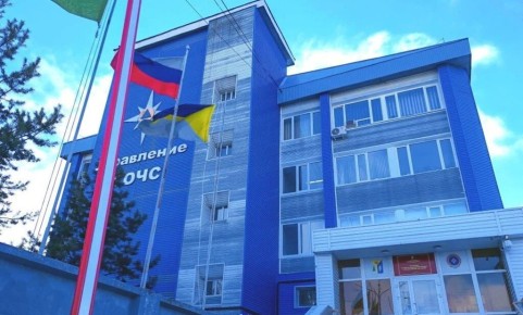 ��������-������� ���������� (���) � ���������� ������ �� ���������� ����������������� ������ ���� �������� �������, 29 ������