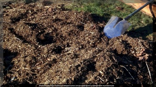 ��� ����������� ������ ������� � ����: ������ ������ ��� ���������