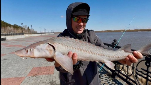 � �����-��������� ����� ������� �� ������ �������������� ������