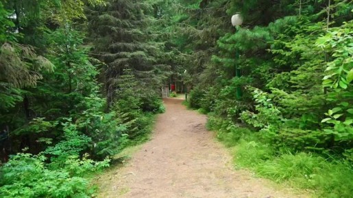 �������, ��� ������ ������ � ������ �� ������ �������� ������� ����?