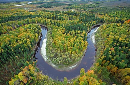 ������� � ���� �������� ������������� ������� ������