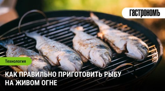 ��������� �����-����: ��� ���������� ���� � ���������������� ��������