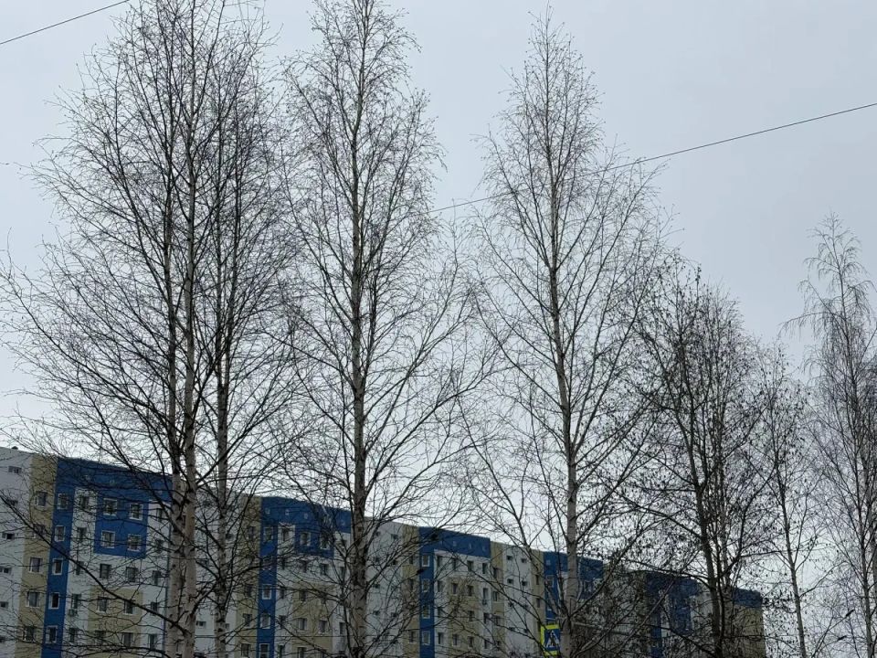 По данным Ханты-Мансийского центра по гидрометеорологии и мониторингу окружающей среды, во второй половине дня 7 мая с сохранением ночью 8 мая 2026 года местами в Ханты-Мансийском автономном округе - Югре ожидаются опасные...