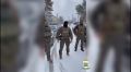 � ���� ����������� ��������� �������������� � ���������� ���������������� ������������