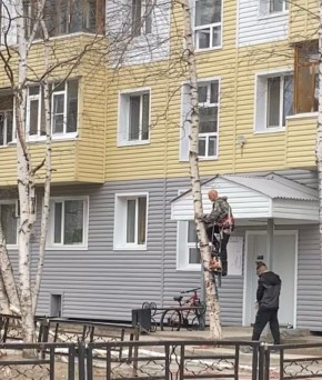������� ���������� �������