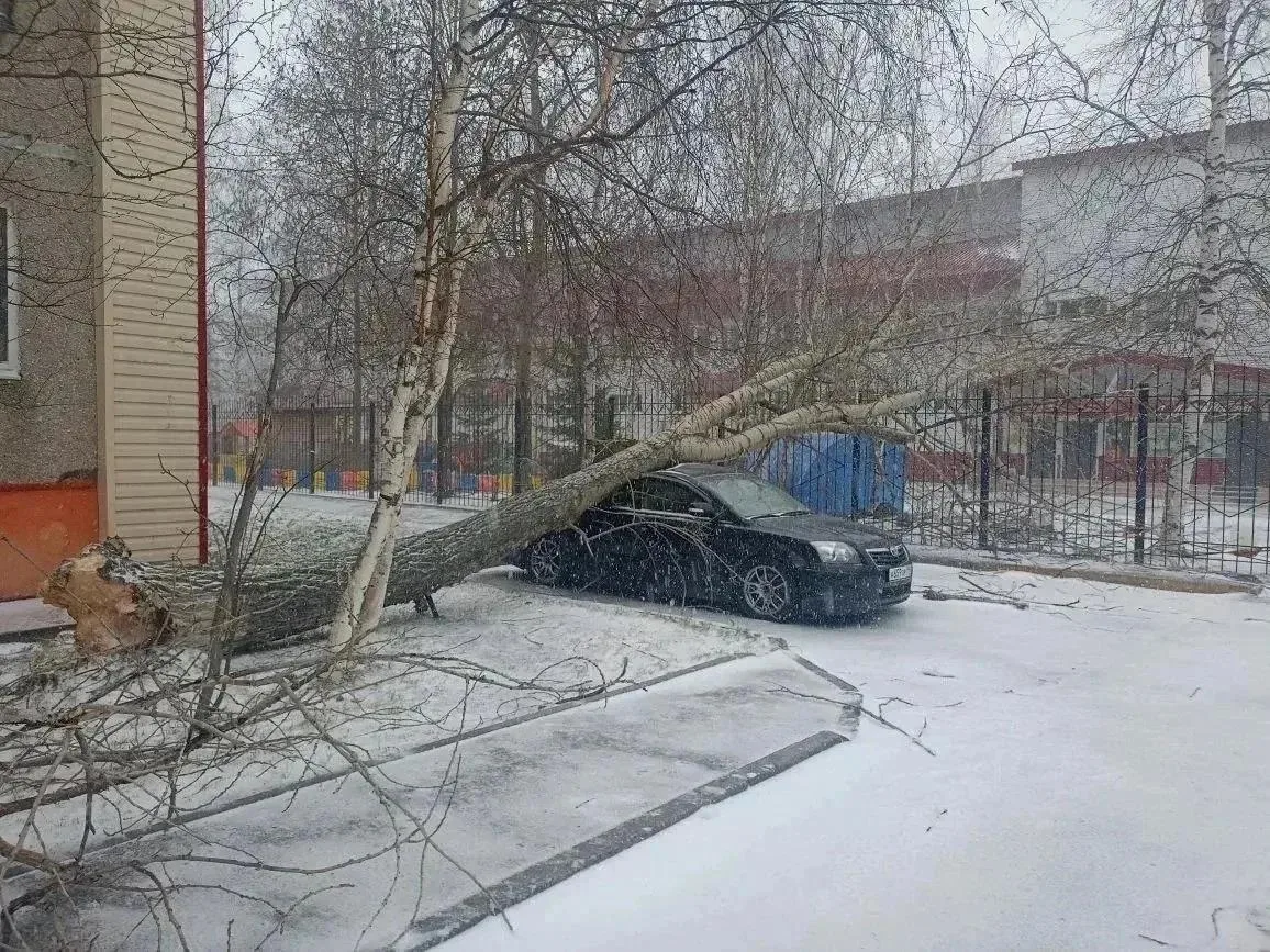 В Сургуте от шквального ветра пострадали несколько автомобилей