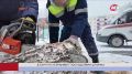 В Сургуте устраняют последствия непогоды
