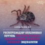 Югра стала одним из регионов с высоким риском заражения клещевым энцефалитом