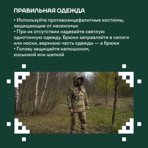 В наш округ возвращаются солнечные дни, хочется чаще гулять и наслаждаться весенними пейзажами