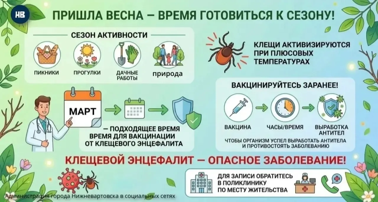 Клещи проснулись: как защитить себя и детей
