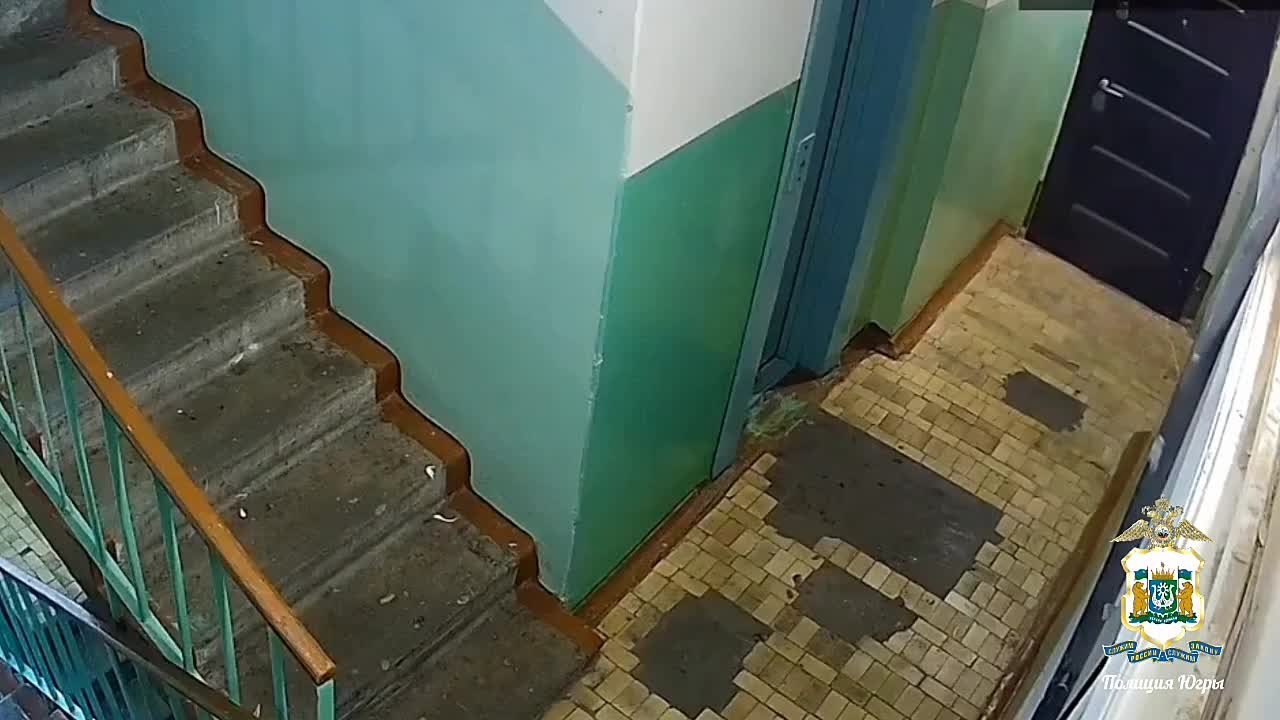 Медсестра, студенты и их подельники арестованы в Сургуте за разбой и вымогательство