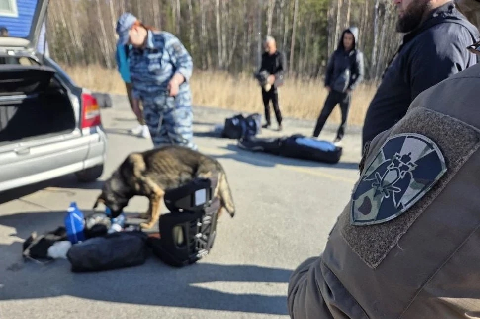 Более 300 нарушений было выявлено в Югре в ходе операции «Анаконда» Более 300 нарушений было выявлено в Югре в ходе операции «Анаконда»