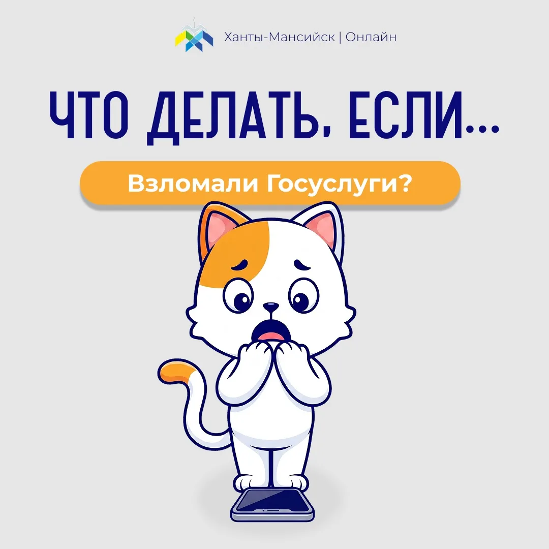 Продолжаем рубрику «Что делать, если...»