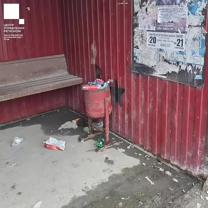 Заметили мусор в парке или переполненную урну на остановке? Об этом легко сообщить прямо на месте через мобильное приложение «Госуслуги. Решаем вместе»