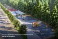 Более 100 000 югорчан уже выбрали новые скверы и парки