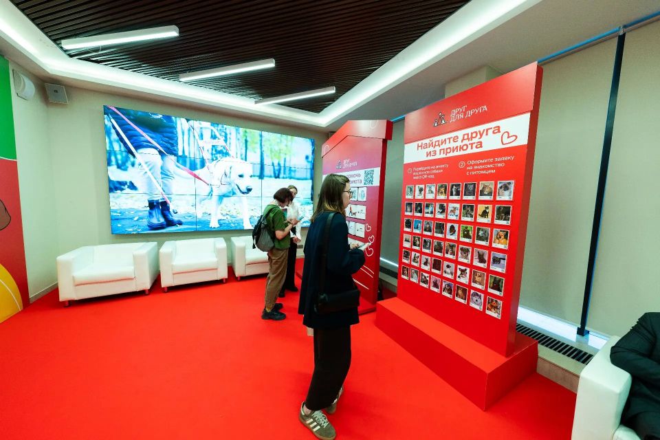В Югре формируют культуру ответственного отношения к животным В Югре формируют культуру ответственного отношения к животным