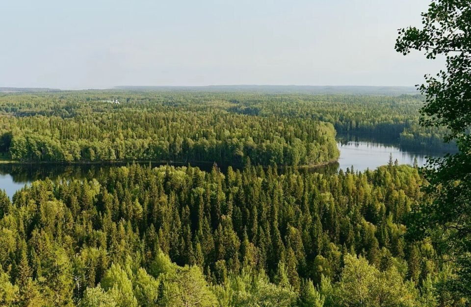 Знать. Любить. Гордиться. В Год единства народов России Федеральное агентство по делам молодежи запускает всероссийский проект «Знать. Любить. Гордиться!» в рамках программы «Больше, чем путешествие» национального проекта...