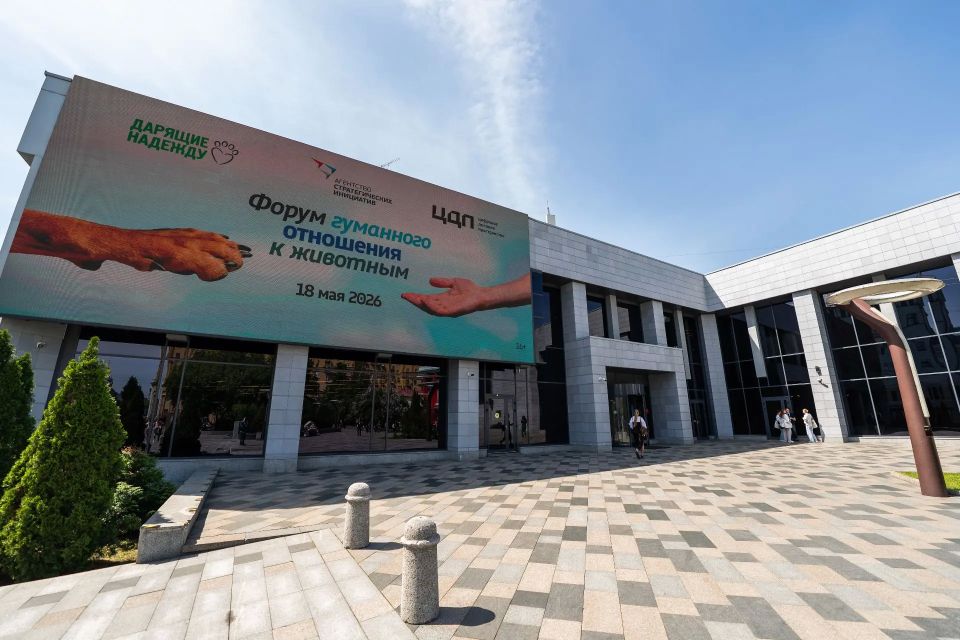 В Югре формируют культуру ответственного отношения к животным