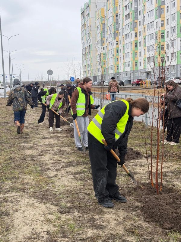 Микрорайонам - больше зеленых насаждений Микрорайонам - больше зеленых насаждений