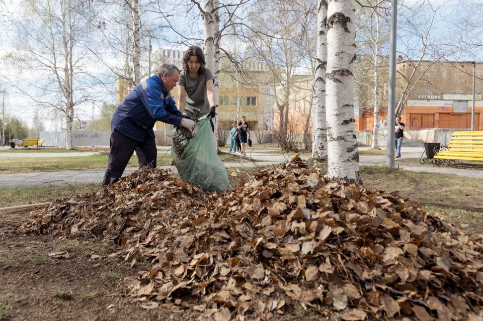 С заботой о городе: в Сургуте начались городские субботники С заботой о городе: в Сургуте начались городские субботники