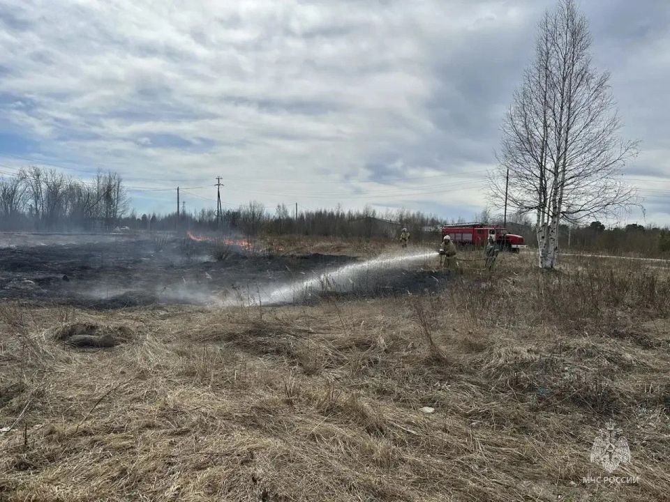 Житель Радужного заплатит 40 тысяч рублей за нарушение правил сжигания травы и мусора на своём участке Житель Радужного заплатит 40 тысяч рублей за нарушение правил сжигания травы и мусора на своём участке