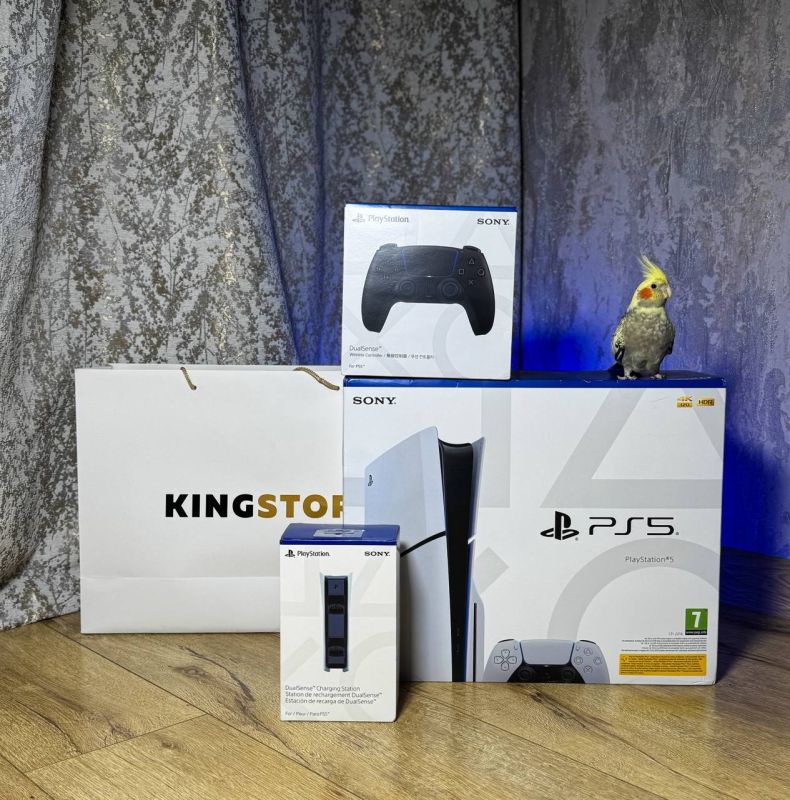 Новая техника ближе, чем кажется! KINGSTORE — выбирайте то, что давно хотели, с максимальной выгодой!