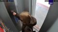 В Сургуте у девушки в сумке загорелся пауэрбанк, она не пострадала, сообщили в МЧС