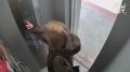 ��������� ��������� � �������� ����� � ������� � ������� ��������� �������� � ������ ������ ����