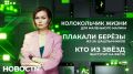 И он снова прозвенел. В «Нижневартовской детской окружной больнице» раздались переливы «Колокольчика жизни»