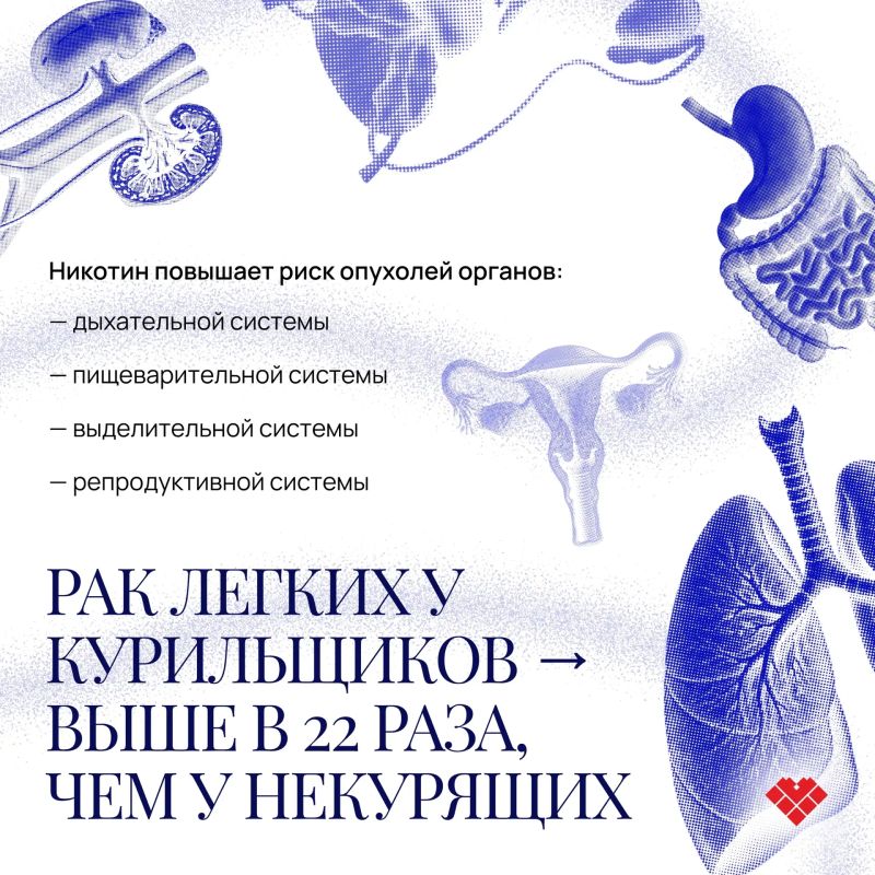 Почему бросить курить нужно прямо сейчас? (спойлер: никогда не поздно) Почему бросить курить нужно прямо сейчас? (спойлер: никогда не поздно)