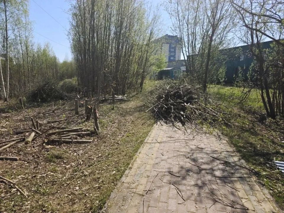 В Сургуте начались работы по благоустройству на набережной правого рукава водохранилища «Сайма» В Сургуте начались работы по благоустройству на набережной правого рукава водохранилища «Сайма»