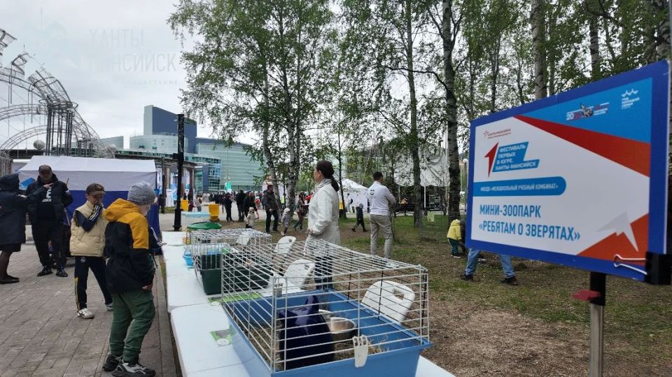 Тем временем в парке имени Бориса Лосева продолжается V Фестиваль Движения Первых! Тем временем в парке имени Бориса Лосева продолжается V Фестиваль Движения Первых!
