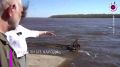 Неожиданно и к счастью помощь была рядом