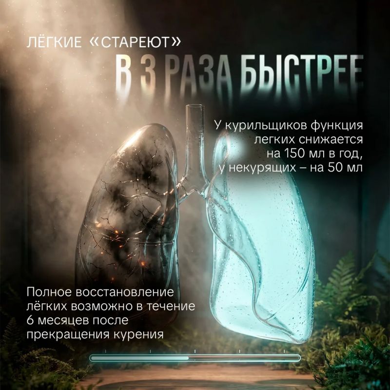 31 мая – Всемирный день без табака 31 мая – Всемирный день без табака