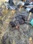 Нарушитель привлечён к ответственности