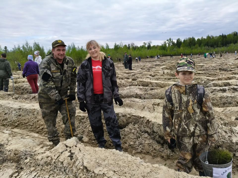 «Сад памяти»: 15 000 сосен в честь героев «Сад памяти»: 15 000 сосен в честь героев