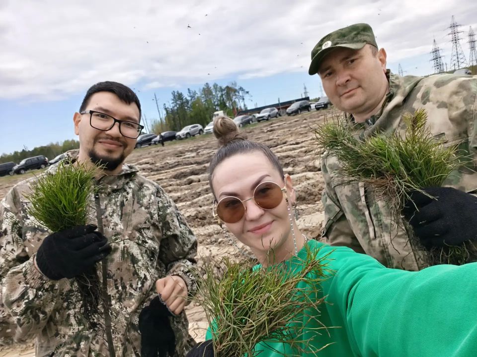 «Сад памяти»: 15 000 сосен в честь героев «Сад памяти»: 15 000 сосен в честь героев