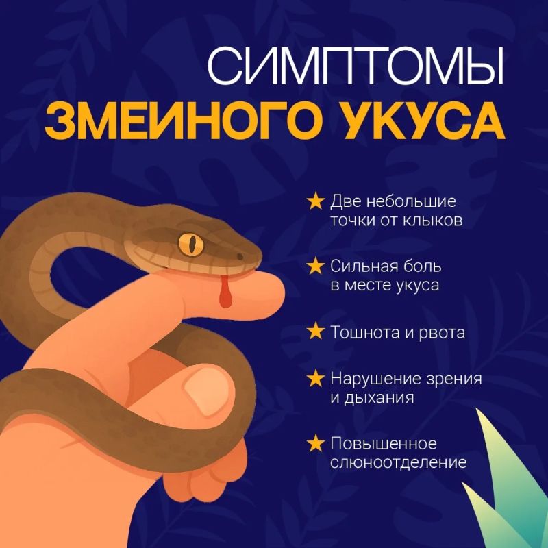 Теплая погода и влажность влияют на популяцию змей Теплая погода и влажность влияют на популяцию змей