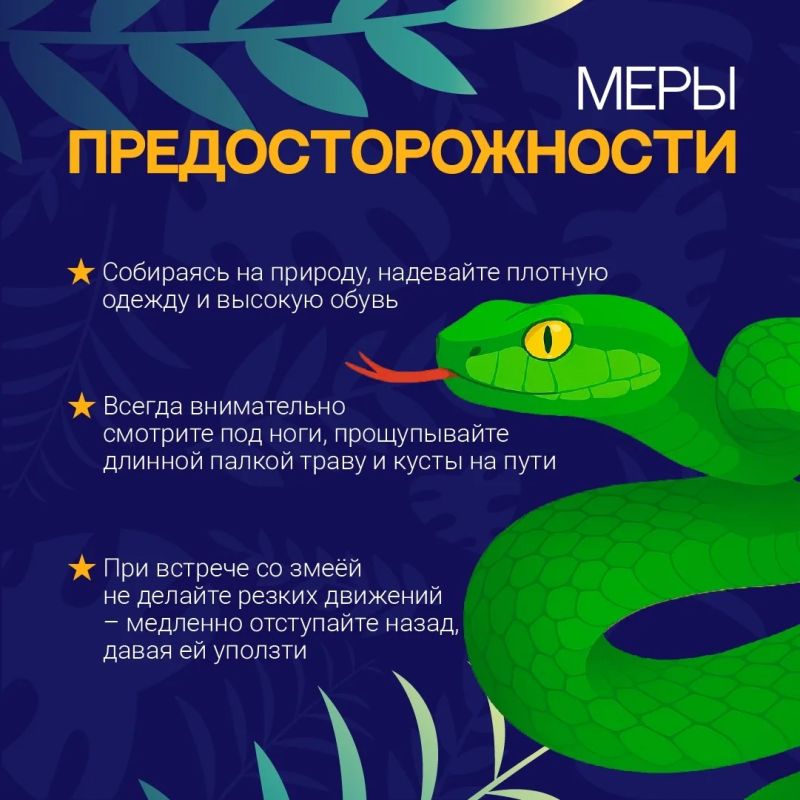 Теплая погода и влажность влияют на популяцию змей Теплая погода и влажность влияют на популяцию змей
