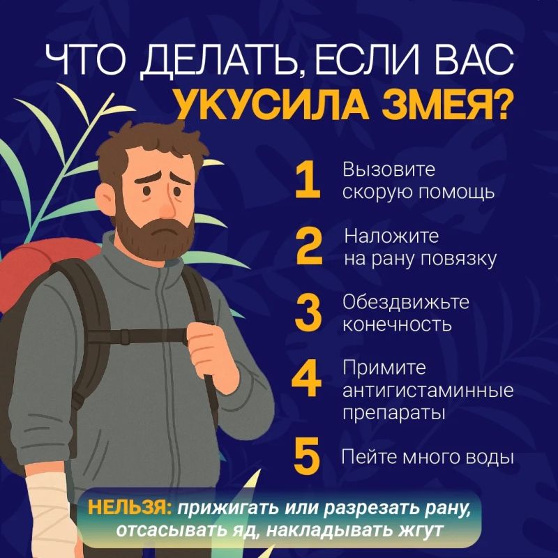 Теплая погода и влажность влияют на популяцию змей Теплая погода и влажность влияют на популяцию змей