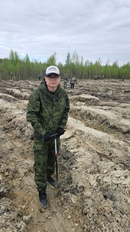 «Сад памяти»: 15 000 сосен в честь героев «Сад памяти»: 15 000 сосен в честь героев