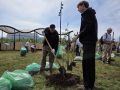 Почти 150 саженцев деревьев высадили сургутяне