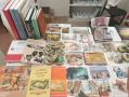 Литературу Югры представили на главной книжной площадке страны