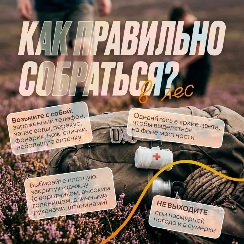Какое же лето без прогулок, пикников и походов? Какое же лето без прогулок, пикников и походов?