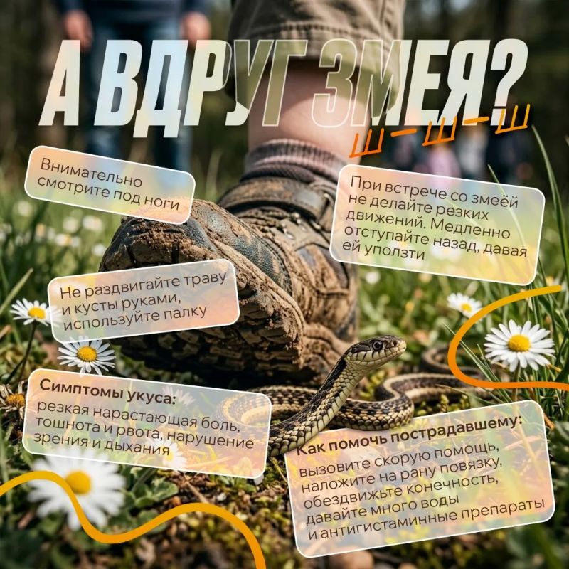 Какое же лето без прогулок, пикников и походов? Какое же лето без прогулок, пикников и походов?